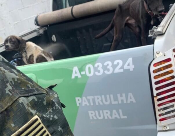 Homem Multado Em R Mil Por Maus Tratos A Animais Em Ubatuba