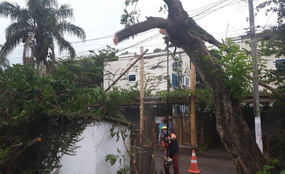 Chuva E Vento Provocam Quedas De Rvores Em Ilhabela Litoral Sp