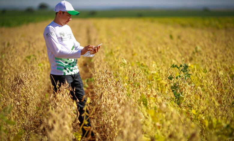 Produtor rural, conheça o prazo para declaração do Imposto