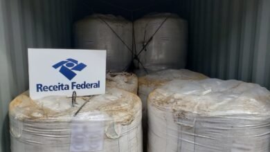 VÍDEO - Mais de 600 Kg de cocaína são apreendidos no Porto de Santos