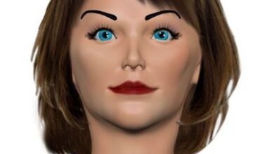 Inteligência artícial para a produção e colheita de grãos