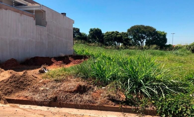 Limpeza de terrenos
