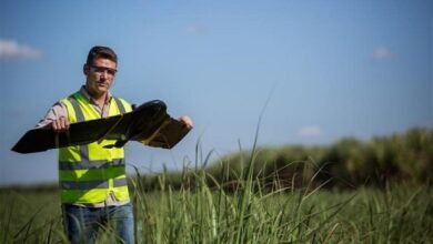 TEREOS abre 16 novas vagas para acompanhamento diário em canaviais