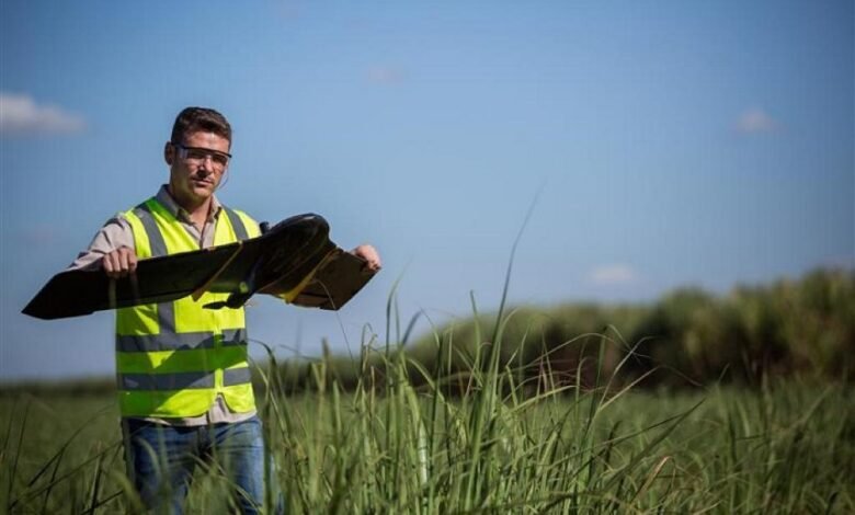 TEREOS abre 16 novas vagas para acompanhamento diário em canaviais