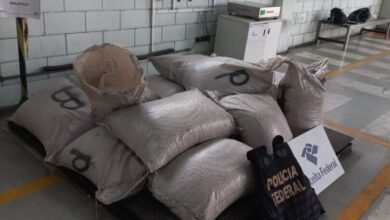 Mais de 600 Kg de cocaína são apreendidas no Porto de Santos