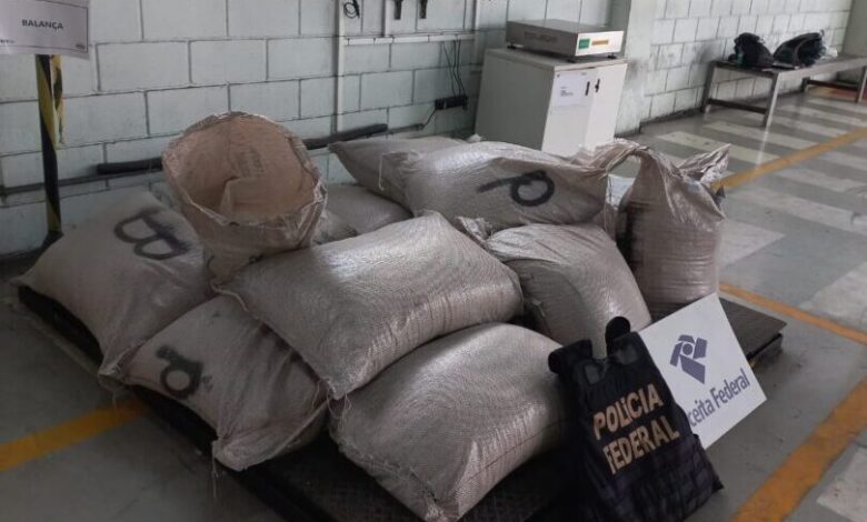 Mais de 600 Kg de cocaína são apreendidas no Porto de Santos