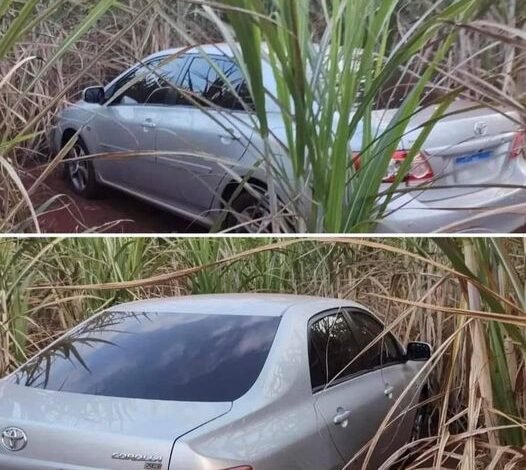 Carro é encontrado em meio ao matagal