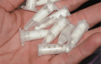 Polícia descobre esconderijo de drogas e três pessoas são presas