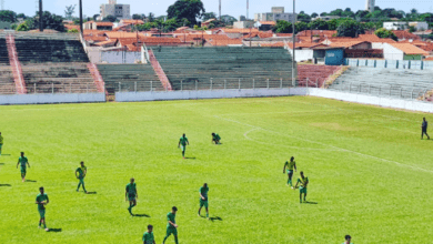 Categoria de base do Barretos Esporte Clube participa de amistosos com o São Paulo