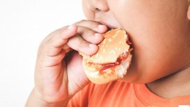 Saiba como garantir a alimentação saudável das crianças para evitar a obesidade