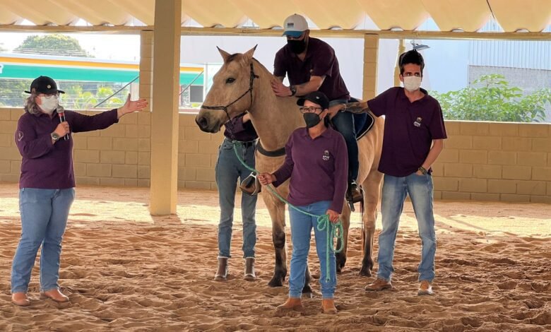 APAE retoma equoterapia depois de furto