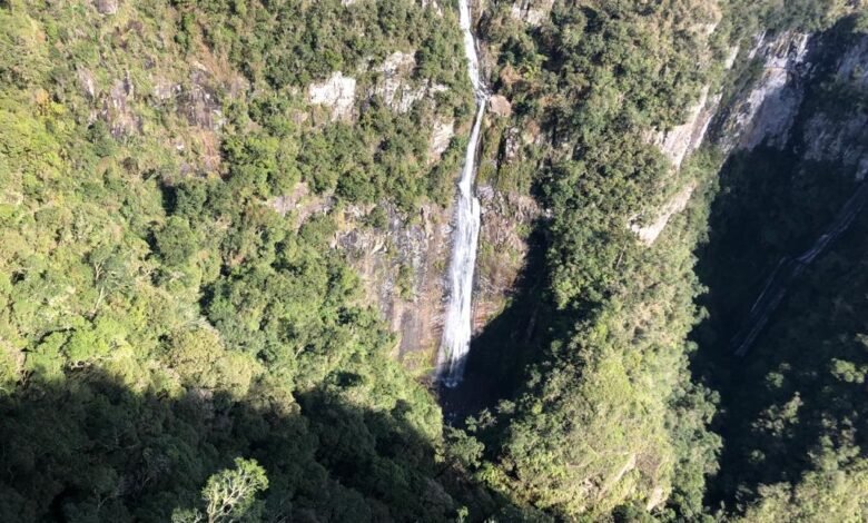 Expedição "Caminhos do Gelo" chega ao seu quarto dia