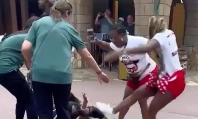 VÍDEO - Famílias brigam no lugar mais feliz do mundo, a Disney e viralizam
