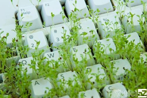 Artigo - A tecnologia verde para a sustentabilidade dos empreendimentos