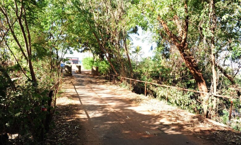 Licitação para reforma da ponte da Estrada das Palmeiras é aberta