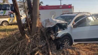 Motorista cruza Rodovia e bate o carro em árvore