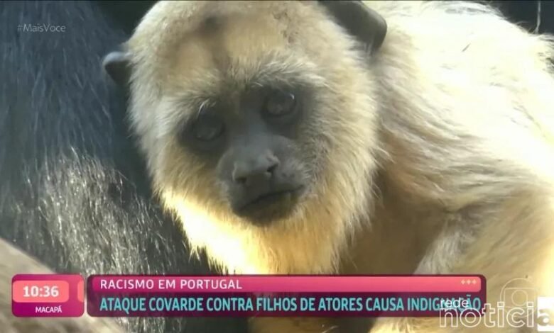 VÍDEO - Ana Maria Braga demite responsável por exibir macacos em caso de racismo