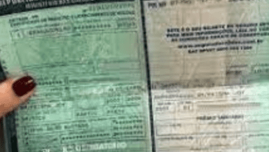 Cresce em 7% emissão de documentos de veículos no município