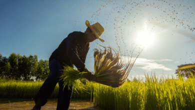 Encontro promove orientações aos produtores rurais de Olímpia