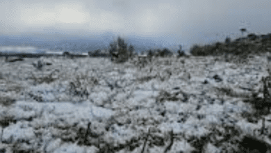 VÍDEO: Santa Catarina registra sensação de -20°C com neve no segundo dia de primavera