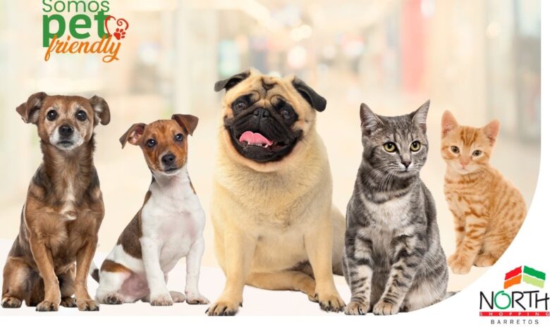 North Shopping Barretos amplia seu conceito "Pet Friendly"