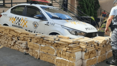 Carro lotado de maconha é apreendido após perseguição da Polícia Rodoviária