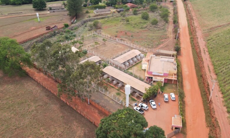 Centro de Acolhimento Animal completa 3 anos com atendimento e cuidado aos bichanos