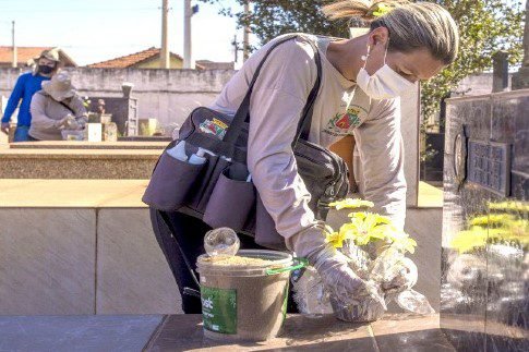 Combate à dengue: a importância da prevenção contínua