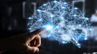 Mais de 40 brasileiros superinteligentes são descobertos por empresa internacional