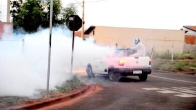 Secretaria da Saúde confirma mais de 1.900 casos de dengue