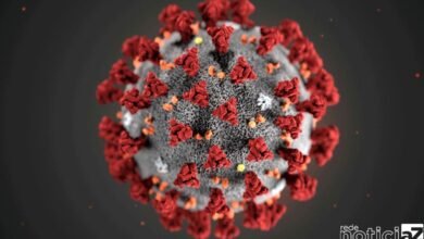 Covid-19 deixou 40 mil crianças e adolescentes órfãos de mãe no Brasil