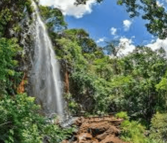 Lugares incríveis para viajar em São Paulo