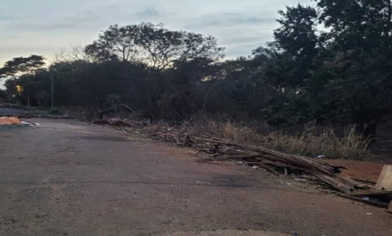 Operação da Polícia acaba em prisão e apreensão de drogas e dinheiro