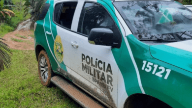 Polícia Ambiental apreende aves silvestres em cativeiro