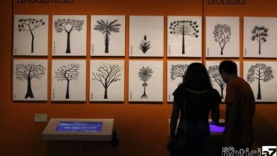 Exposição sobre línguas indígenas ganha versão virtual