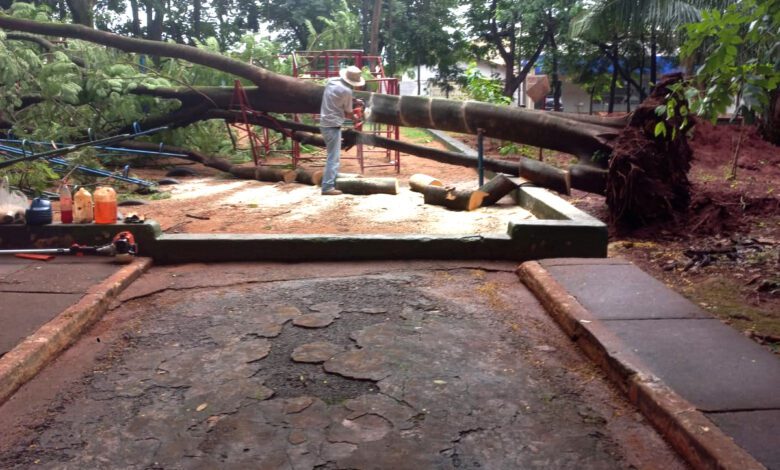 Zoológico interditado devido a chuvas intensas