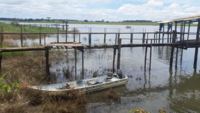 Pescadores são multados por capturar peixes nativos durante período da piracema