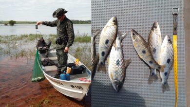 Pescador é multado por capturar peixes ilegalmente