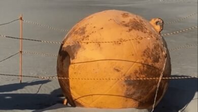 Mistério no Japão - Esfera de metal aparece na areia da praia