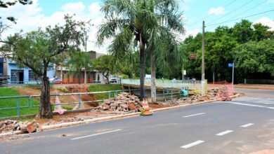 Avenida Aurora Forti Neves passa por revitalização com novo calçamento, paisagismo e pintura