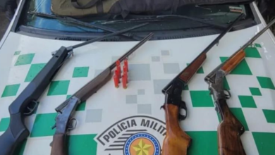 Polícia Ambiental apreende armas, munições e prende homem por caça ilegal