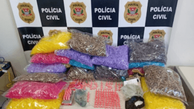 Material para venda de drogas é encontrado pela Polícia em apartamento