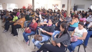 Programa Bolsa Trabalho terá continuidade