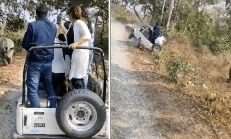 VÍDEO - Rinoceronte persegue turistas durante safári