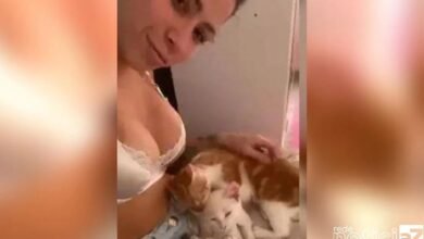 VÍDEO - MC Pipokinha aparece "amamentando" gato e pode ser presa