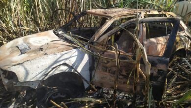 Carro furtado é encontrado carbonizado em canavial