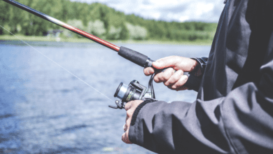 Pescadores multados e responderão por crime ambiental