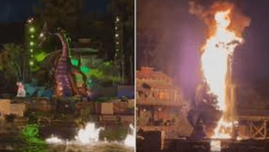 Um dragão de 10 metros de altura que fazia parte do show "Fantasmic" da Disney Califórnia pegou fogo na noite de sábado