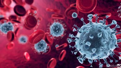 Arcturus: Nova variante da Covid-19 circula em São Paulo