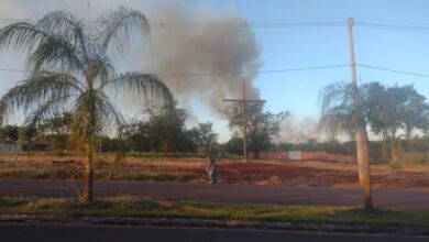 Incêndio em área de canavial em Barretos mobiliza Defesa Civil